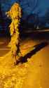 93 KB
