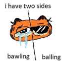 36 KB