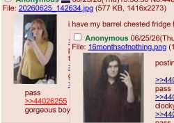 294 KB
