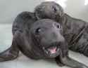 449 KB