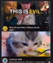783 KB