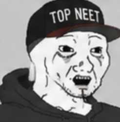 313 KB