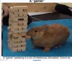 25 KB