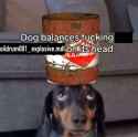 421 KB