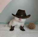 152 KB