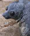 91 KB