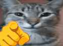 115 KB