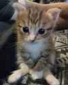 91 KB