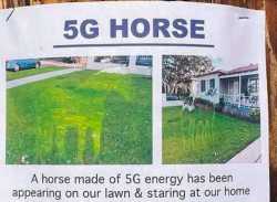 598 KB