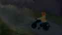 2 MB