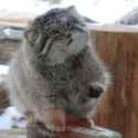 69 KB