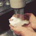 1.9 MB