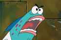 18 KB
