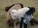 235 KB