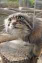 281 KB