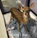 147 KB