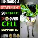98 KB