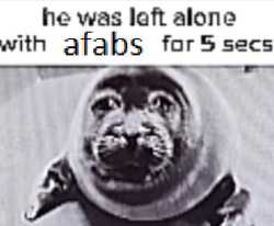 131 KB