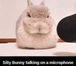 389 KB