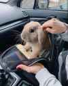 893 KB