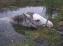 89 KB