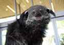 152 KB