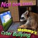 355 KB