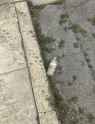 1.37 MB