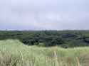 3.34 MB