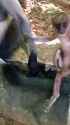 3.66 MB