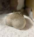 189 KB