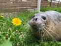 205 KB