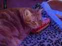 2.57 MB