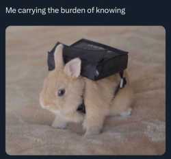 54 KB