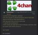 302 KB