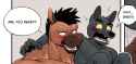 497 KB