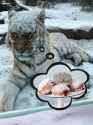 163 KB