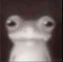 Rule 34 Rule 34 Image