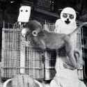 Rule 34 Rule 34 Image