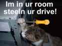 Rule 34 Rule 34 Image