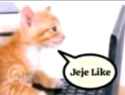 Rule 34 Rule 34 Image