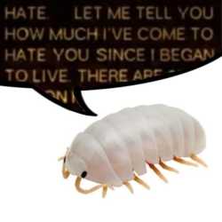 26 KB