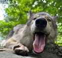 670 KB