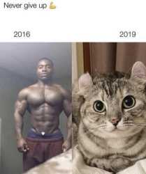 84 KB