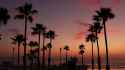 palms-twilight-sky-california-usa-tropical-ocean-beach-sunset-atmosphere-los-angeles-vibes_333216-656