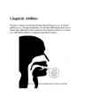 Introducing Linguistics_ A Graphic Guide -- R_ L_ Trask -- 2014 -- Icon Books Ltd -- 9781848317710 -- 84c8f50ff22cda3a00f9ea022df0e2e2 -- Anna’s Archive_Page95