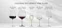 choosing-the-correct-type-of-wine-glass