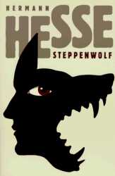 Screenshot 2025-02-21 at 09-34-46 steppenwolf herman hesse - Google Search