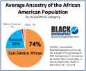 Average-Ancestry-of-the-African-American-Population