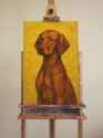 DogNr1